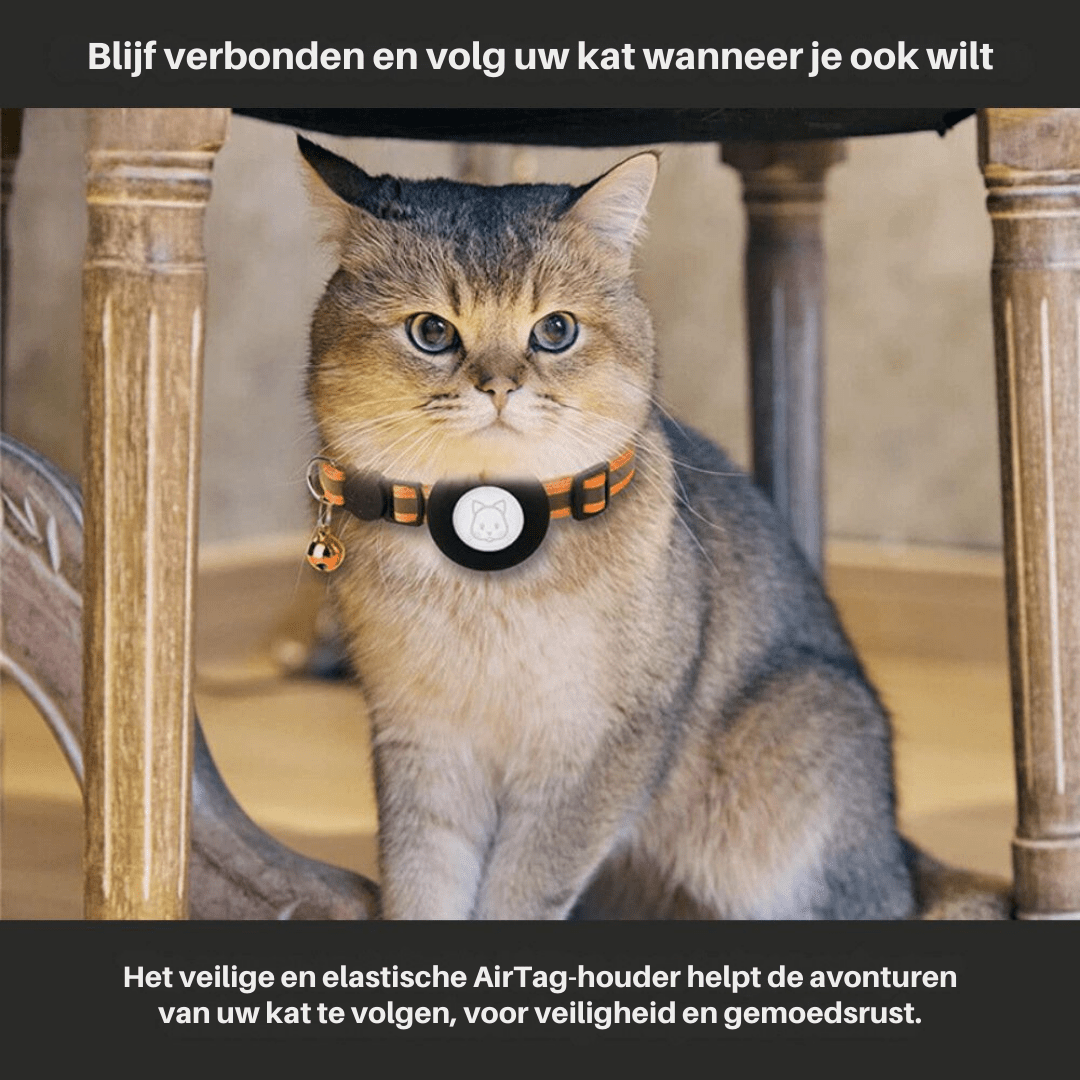 Refleksivt Kattehalsbånd med GPS-Holder og Sikkerhetsspenne