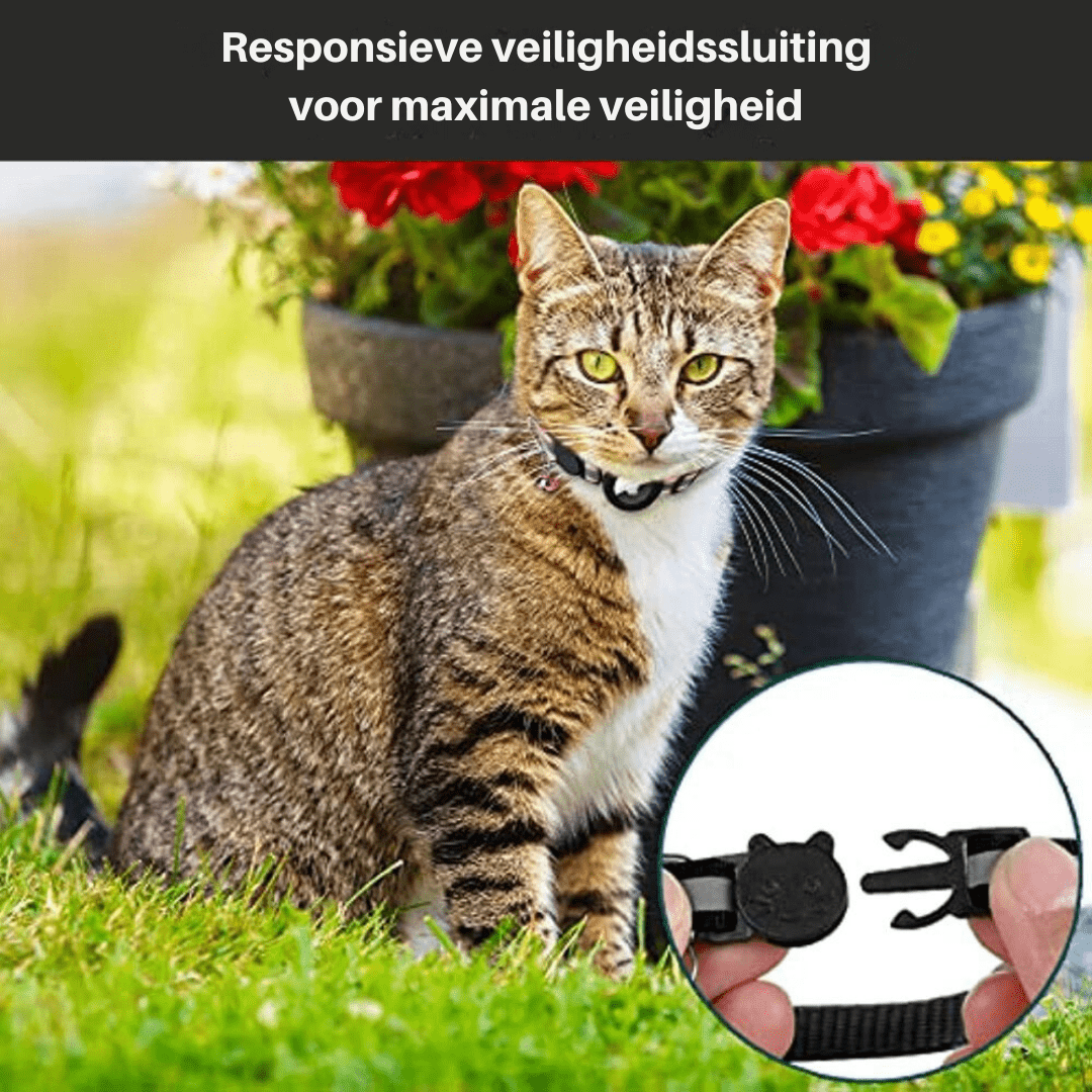 Refleksivt Kattehalsbånd med GPS-Holder og Sikkerhetsspenne